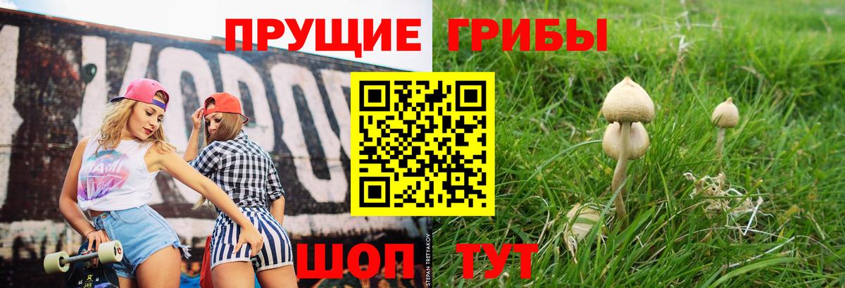 Галлюциногенные грибы мицелий  Псилоцибиновые грибы Psilocybe  Вход с VPN  Уварово 